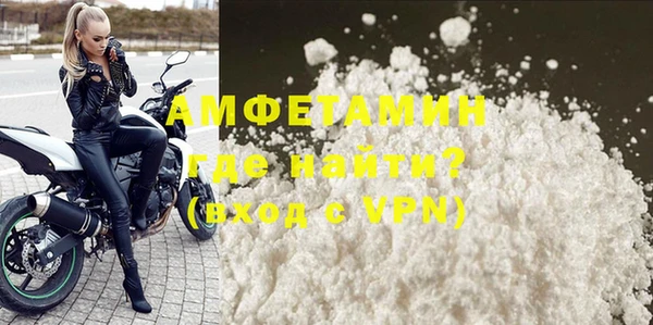 стаф Алзамай
