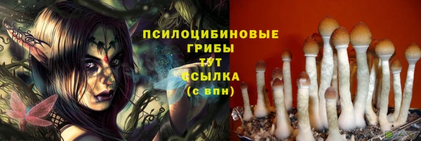 2c-b Алексин